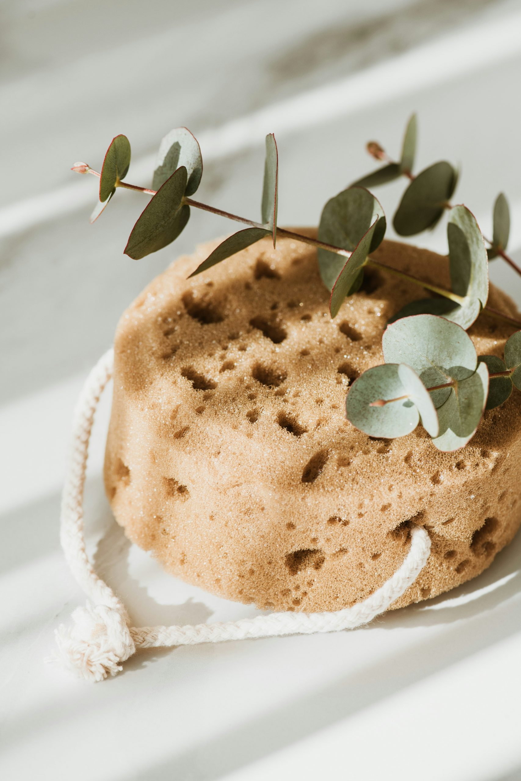 anita-austvika-TeG8OXoe5y0-unsplash