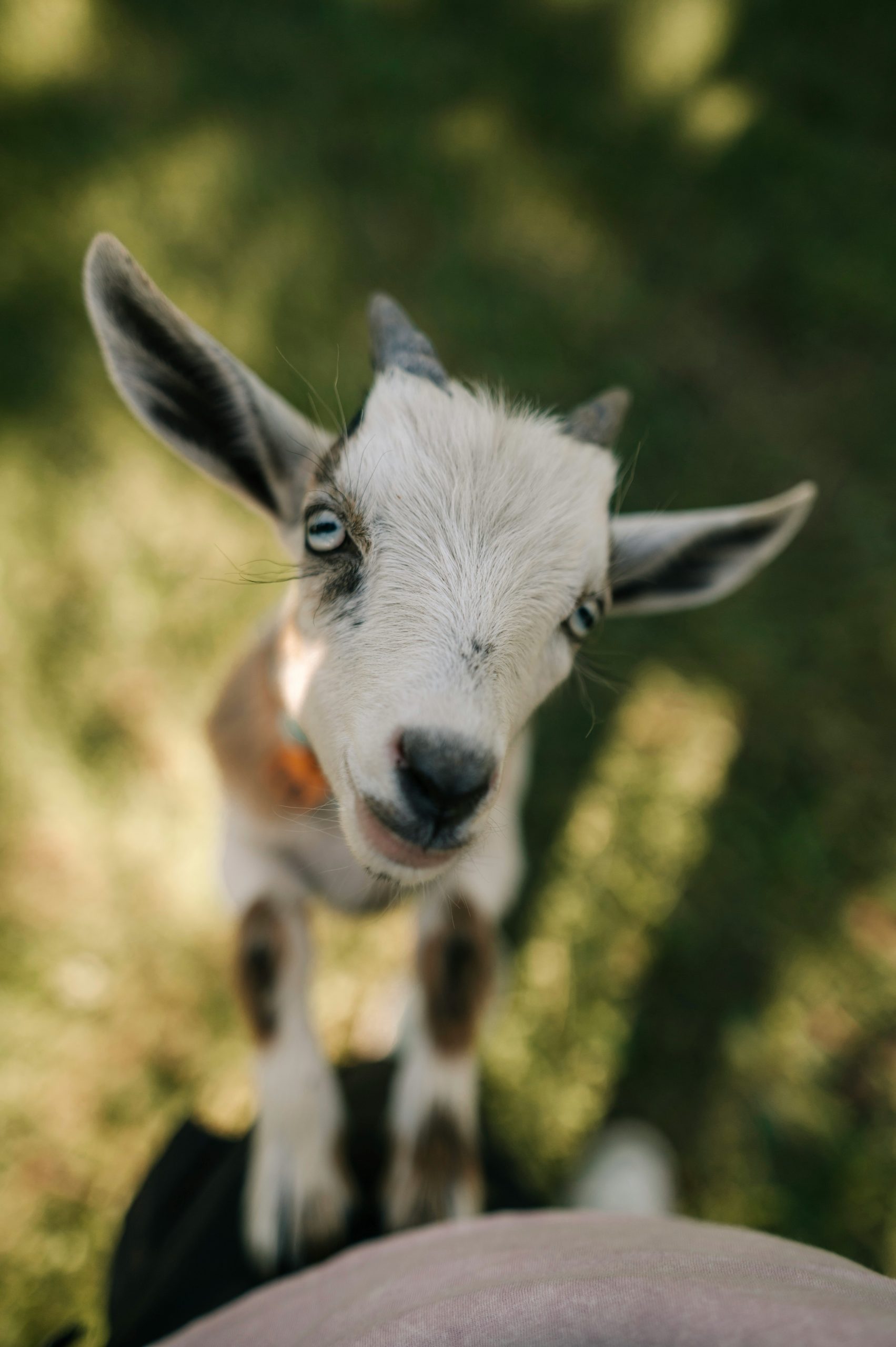 jayson-hinrichsen-kIYFsDuwDSg-unsplash