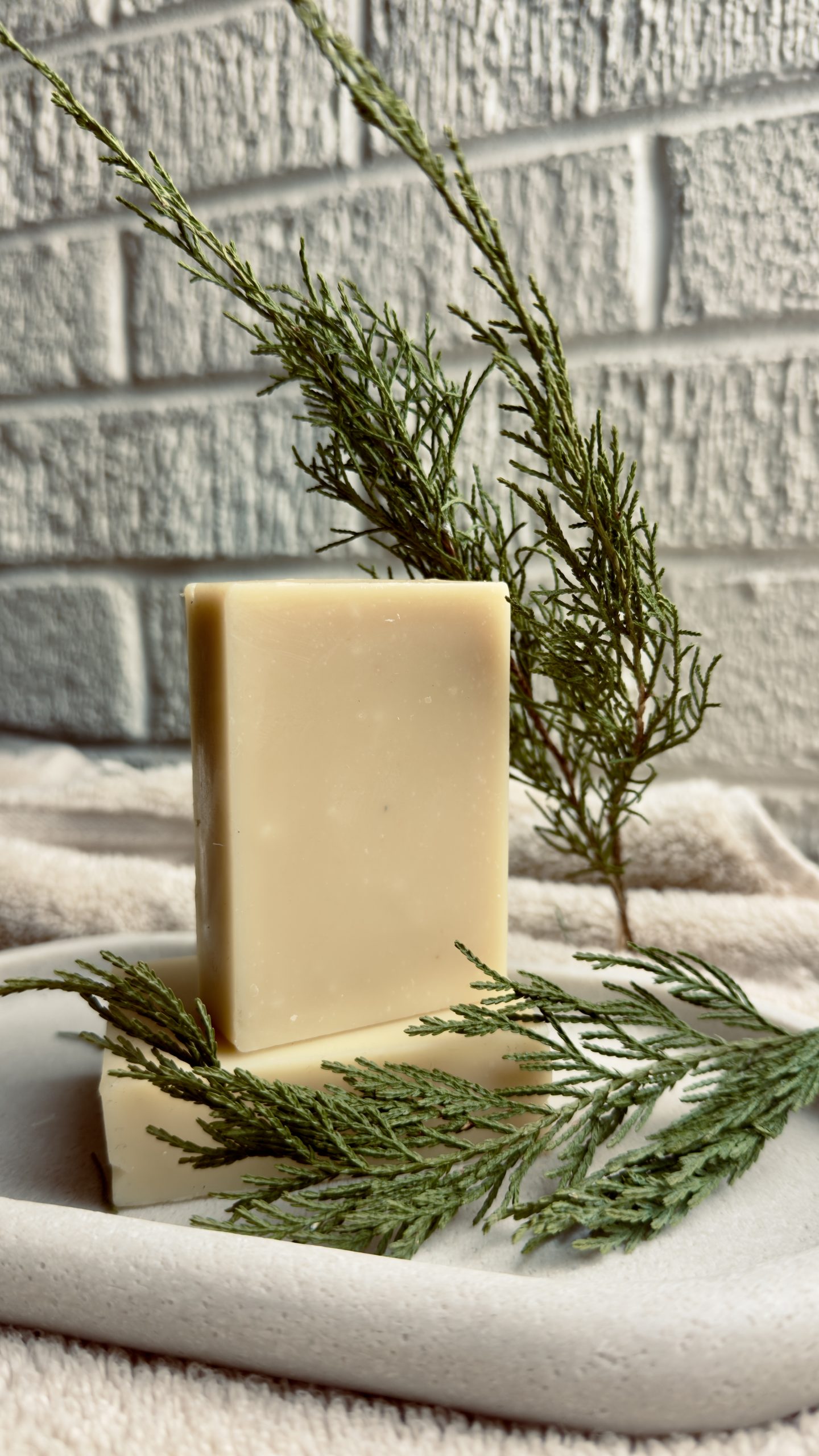 Cedar & Balsam Fir Goat milk soap